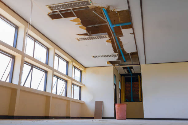 Trusted Crivitz, WI Water damage restoration Experts