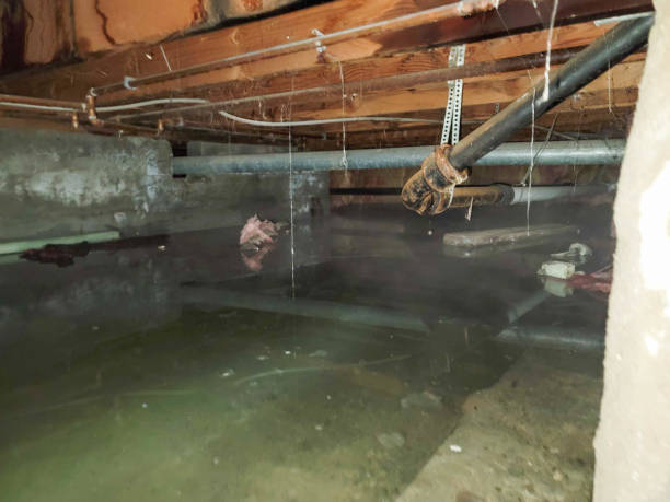 Best Flooded house restoration  in Crivitz, WI
