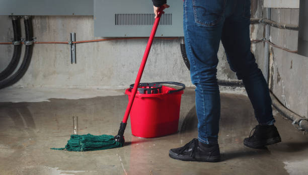 Best Flood damage cleanup  in Crivitz, WI