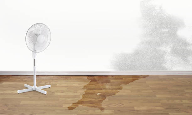 Water damage restoration process in Crivitz, WI