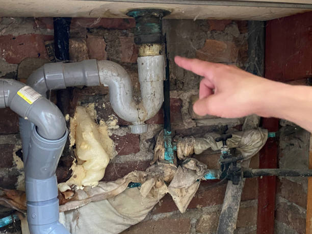 Best Residential water damage restoration  in Crivitz, WI