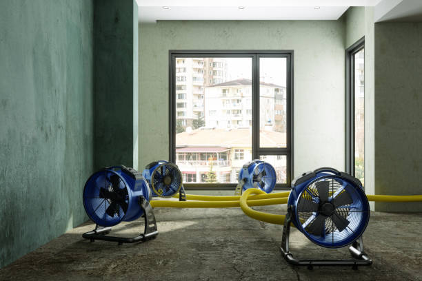 Best Water damage mitigation services  in Crivitz, WI