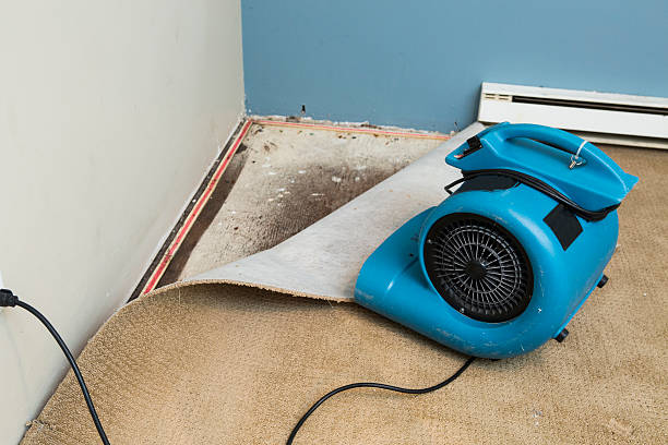 Best Sewage cleanup and water damage restoration  in Crivitz, WI